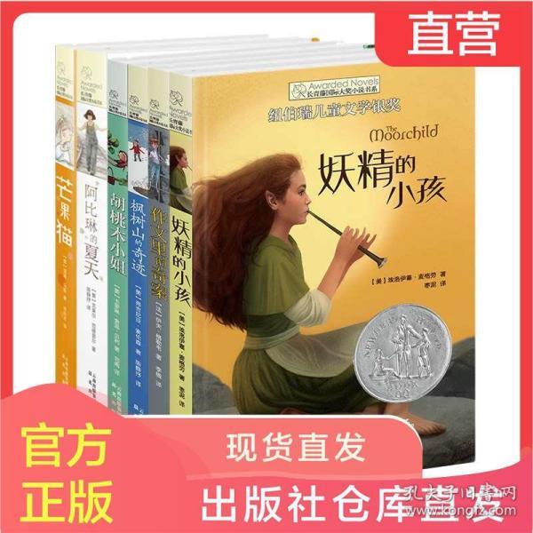 法拉第的缺陷